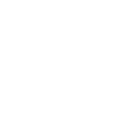 Paul Brzeski Consulting logo